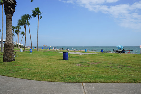 Commercial Playground Site